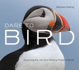 The Healing Power of Birds