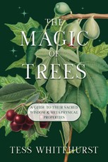 The Magic of Trees