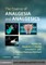 Essence of Analgesia and Analgesics